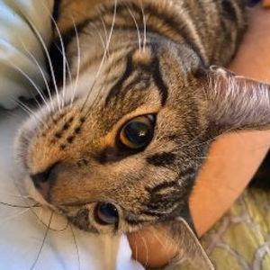 Meet your Posher, Isamar